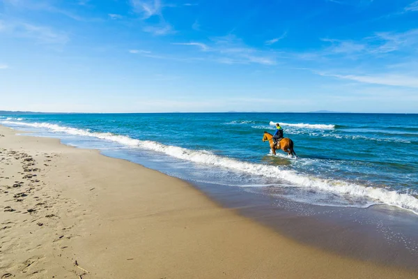 rider and horse in the water in Sardinia