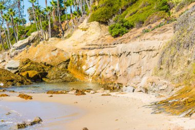 Laguna Beach shoreline