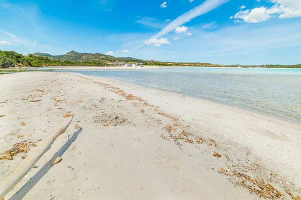 Bois de grève blanc sur la plage de Lu Impostu — Photo