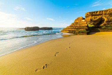 La Jolla Beach ayak izleri