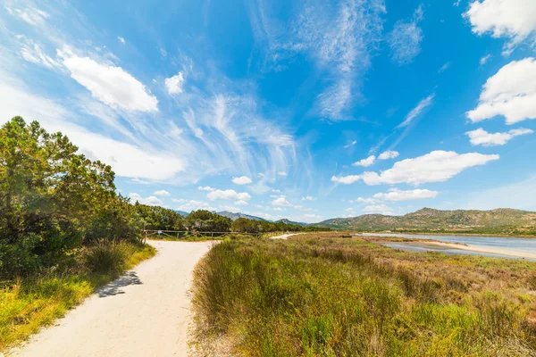 Toprak yol, Sardinya — Stok fotoğraf