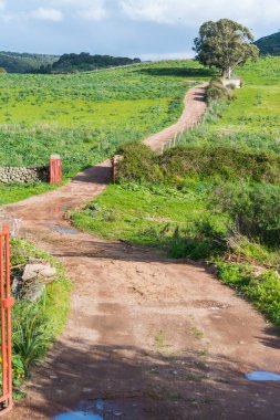Toprak yol, Sardinya