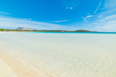 Cala Brandinchi suda temizleyin