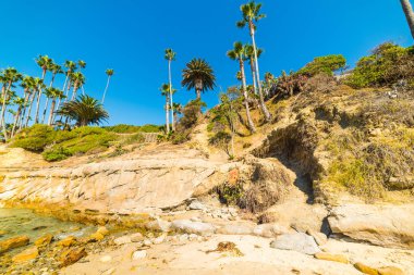 Laguna Beach kayalık sahil
