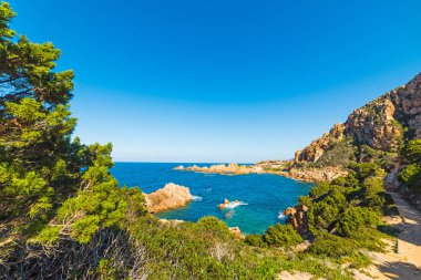Costa Paradiso yeşil bitkilerde