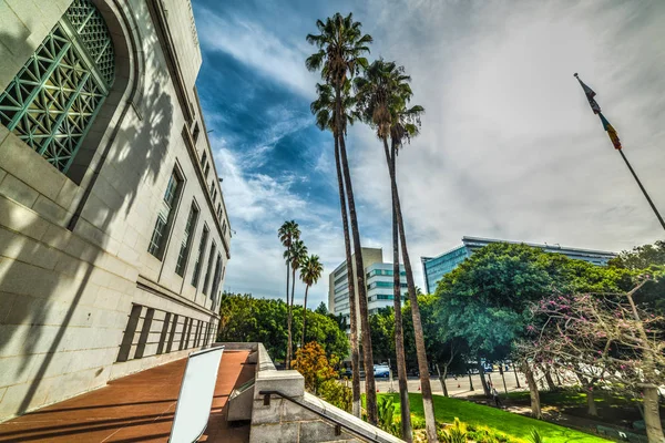 Palmen in het centrum van Los Angeles — Stockfoto