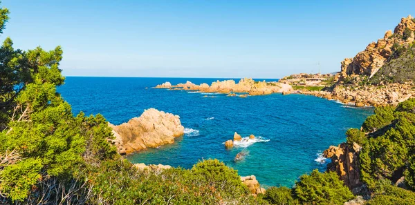 Green plants in Costa Paradiso — Stock Photo, Image