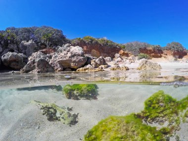 Alghero sahilinin ayrılmış sualtı görüntüleme