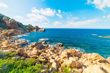 kayalar ve Costa Paradiso bitkilerde