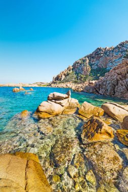 Costa Paradiso sarı kayalarda