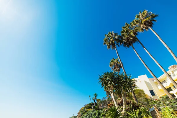 Laguna sahil boyunca güzel bir gün