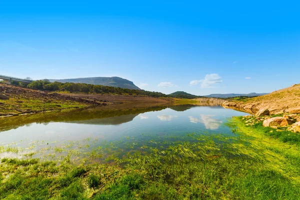 テモ湖の岸辺の緑 — ストック写真
