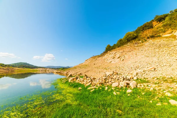 テモ湖の岸辺の緑 — ストック写真