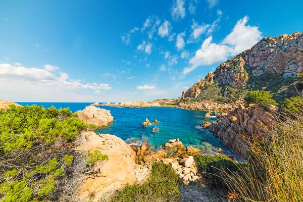 Springtime in Costa Paradiso