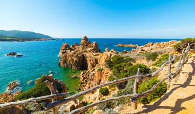 Sarı ve mavi kıyı şeridi