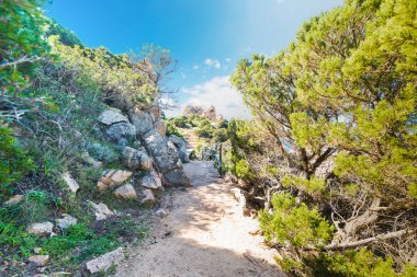 Costa Paradiso yolundaki kir
