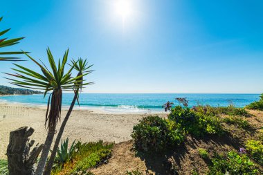 Laguna Beach güzel bir gün