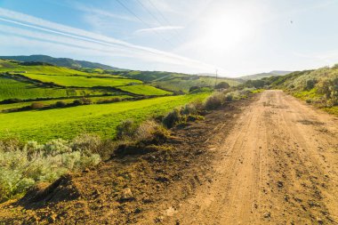 Yeşil alan ve toprak yola Sardinya