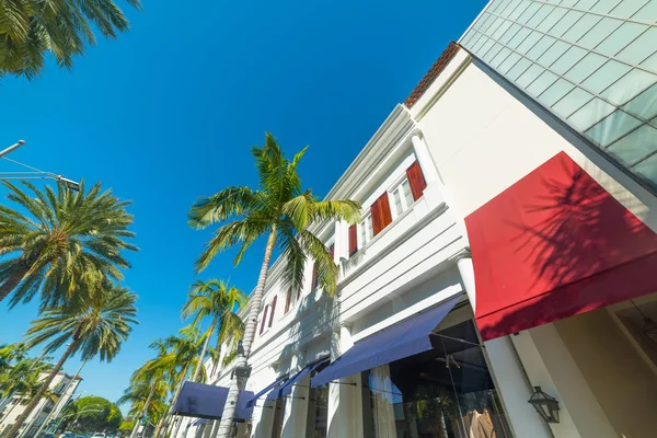 Palm trees in Rodeo Drive — Stock Photo, Image