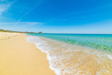 golden shore in Cala Monte Turno