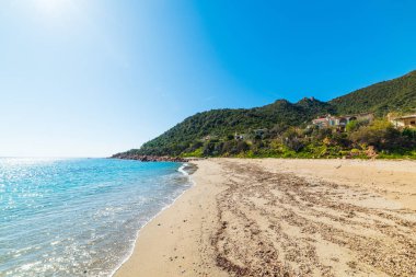 Perdepera beach shoreline