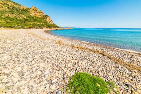 鹅卵石和 Baccu e Praidas 海滩的蓝色大海, — 图库照片