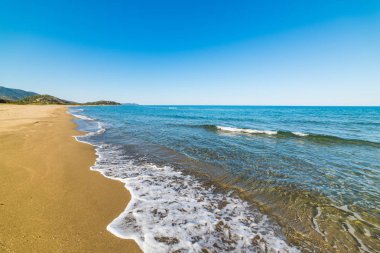 Altın Sahil Colostrai