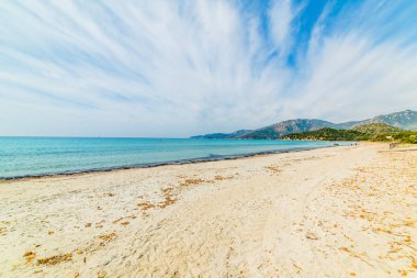 Cirrus bulutlar Campulongu beach üzerinde