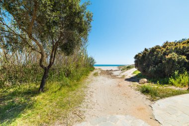 Sahilde yürüyüş yolu