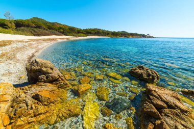 Porto Pirastu shore kayalarda