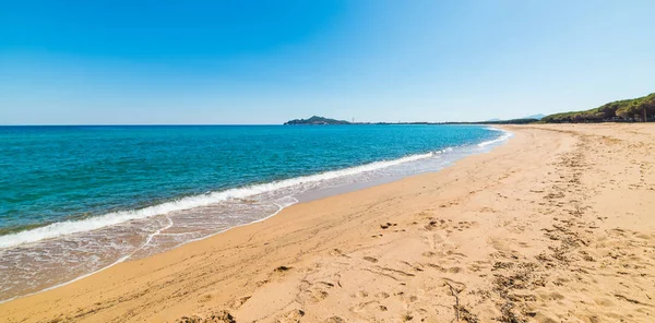Mar azul y orillas doradas en la playa de Is Orrosas — Foto de Stock