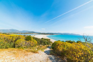 Porto Giunco güneşli bir günde