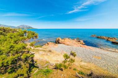 Punta Moros renkli sahil