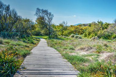 Bir gren Park ahşap tahta