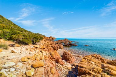 Su Sirboni plaj üzerinde mavi gökyüzü