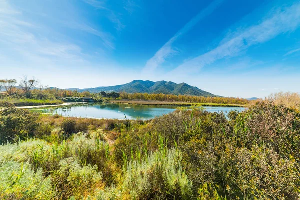 Liten dam i San Giovanni-kysten – stockfoto