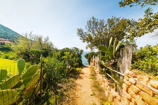 Path in Cala Caterina — ストック写真