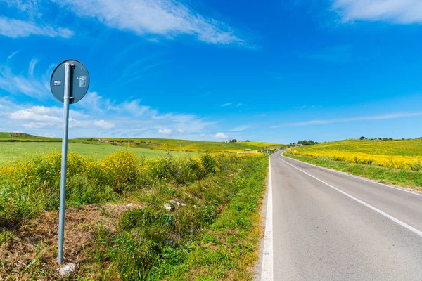 Country road on a sunny day — Stock Photo, Image
