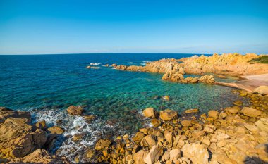 Sardinya sarı shore