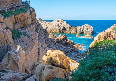 Bahar kayalık sahil