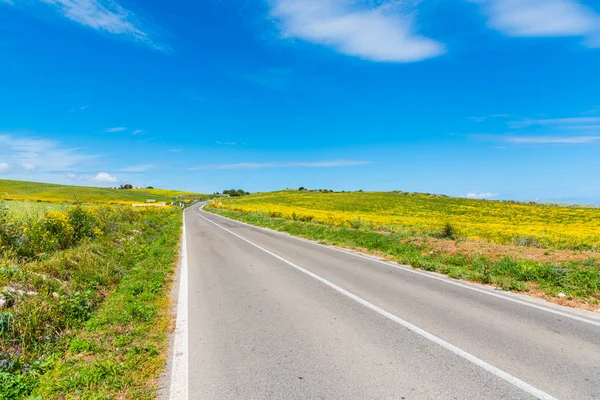 Country road in Spring — Stock Photo, Image