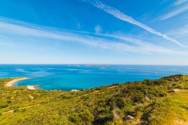 Bahar Sardunya Sahili