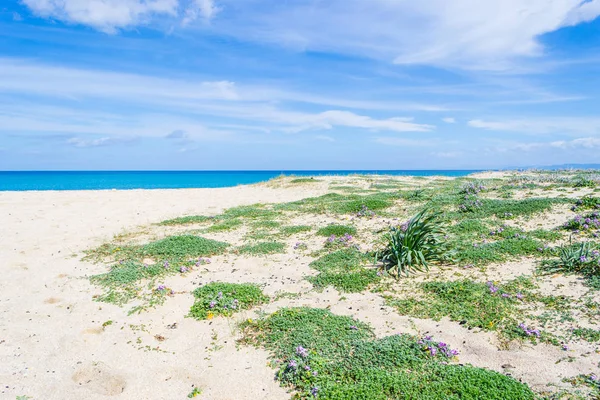 Fiume Santo shore-beyaz kum