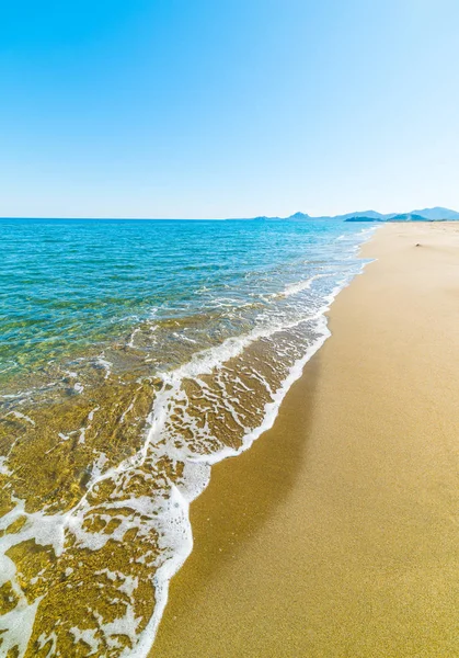 Güneşli bir günde altın kıyı