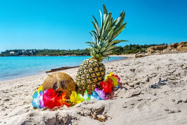 菠萝和椰子的岸边 — 图库照片