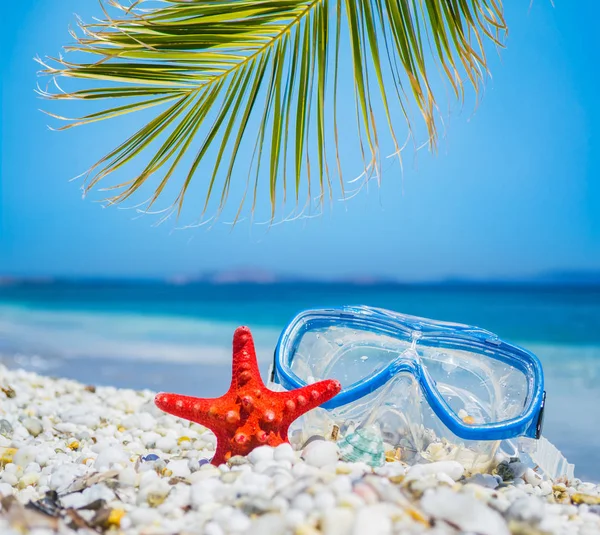 Masker en palm tree door de zee — Stockfoto