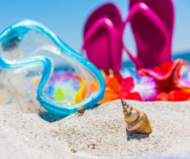 Kum sıkışmış kabuk