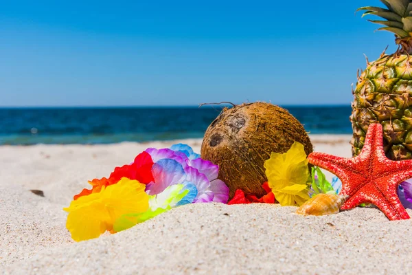 Coco y estrellas de mar en la arena — Foto de Stock