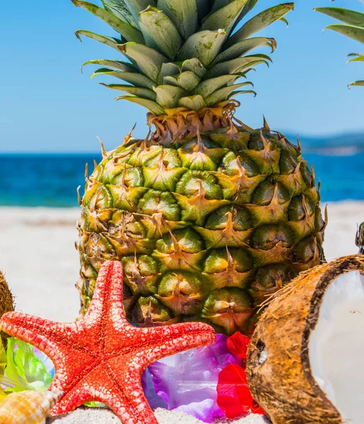 Close up of star fish and tropical fruits — Stock Photo, Image