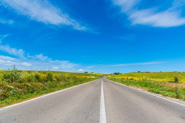 Country road on a sunny day in springtime — Stock Photo, Image